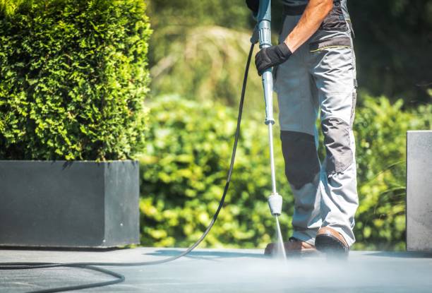 Best Dumpster Area Cleaning  in Sneads Ferry, NC